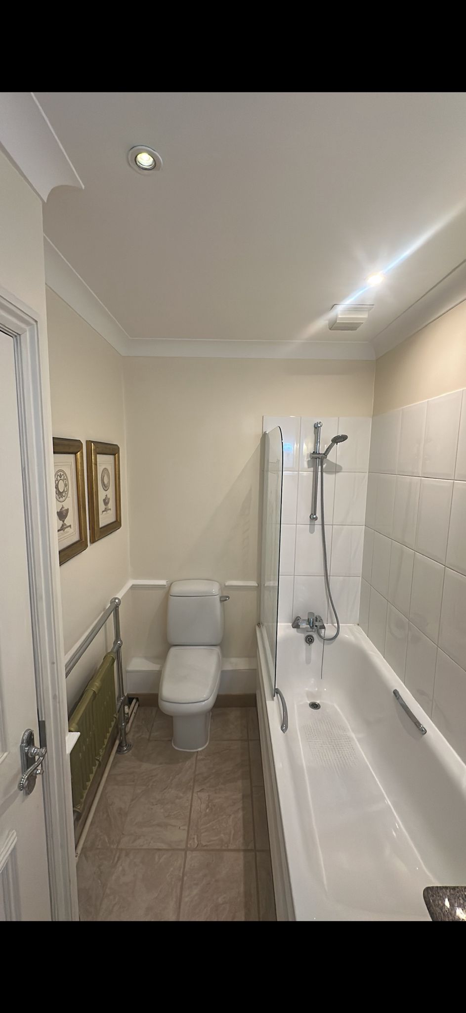 Complete bathroom renovation with tiling and painting in South East London